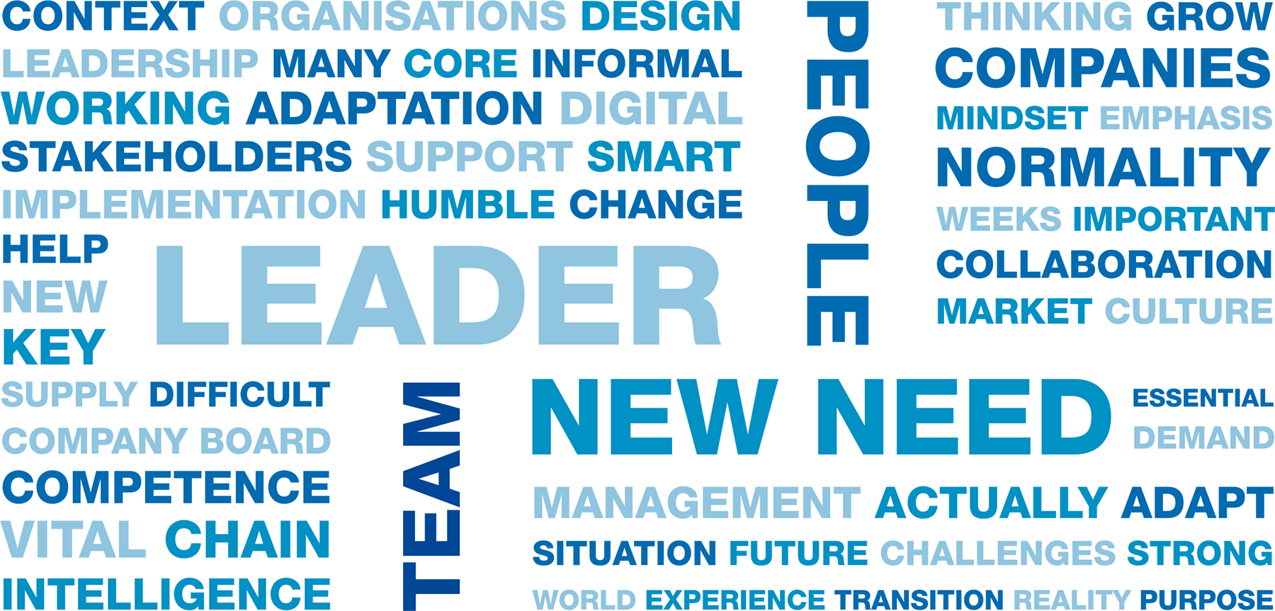 word cloud of leader input, most mentioned are leader, team, new need and people